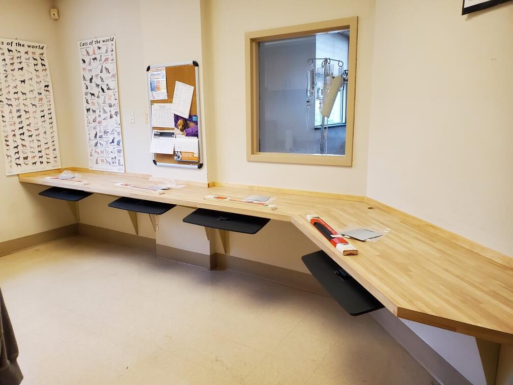 Bradie's Custom Construction project 66